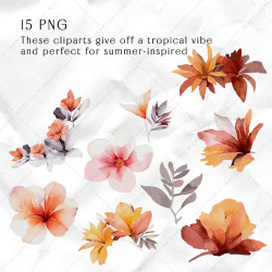 Set of orange tropical flowers PNG clipart