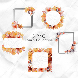 Set of orange tropical flowers PNG clipart